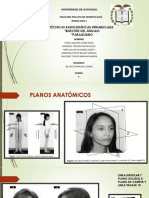 Grupo # 3 - Tecnicas Radiograficas Intraorales