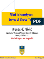 What Is Nanophysics