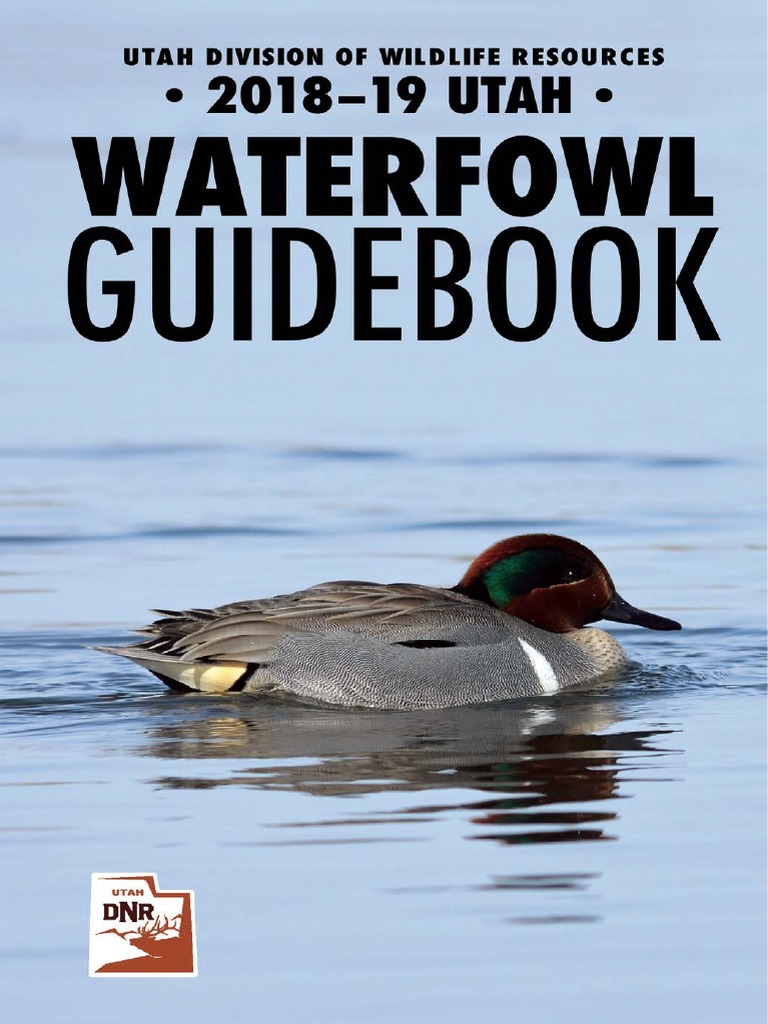 201819 Utah Waterfowl Guidebook PDF Hunting Plea