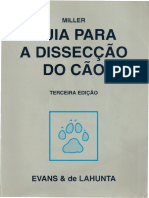2-A Cabeça.pdf