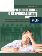 Responsabilitate Comuna PDF