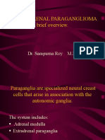 Extra-Adrenal Paraganglioma: A Brief Overview
