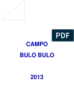 11 Campo BBL 2013