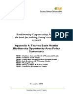 Appendix 4 Thames Basin Heaths Biodiversity Opportunity Area Policy Statements