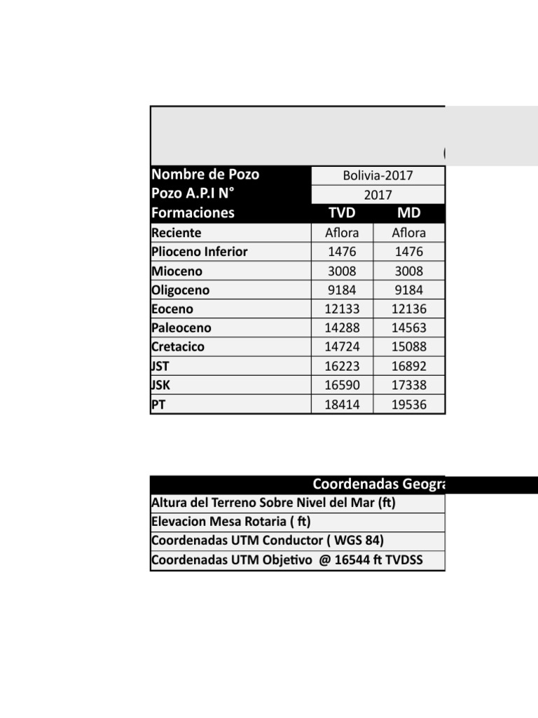 Formato API 10 Dpa | PDF | Dinámica de fluidos | Hidráulica