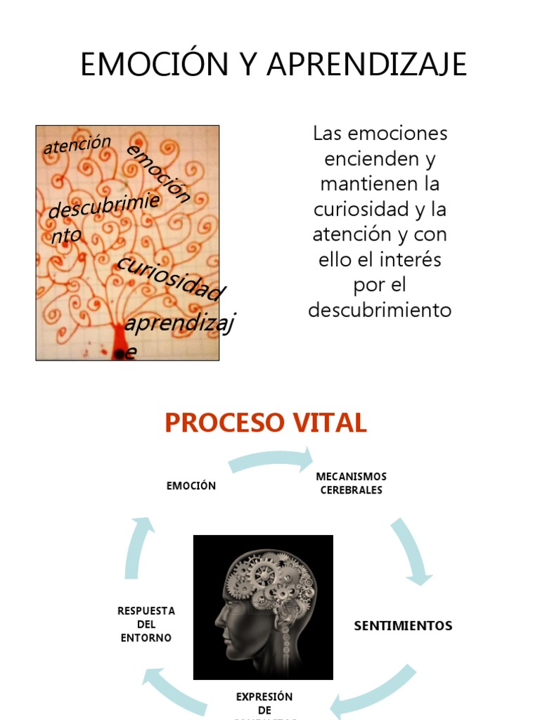 Emociones y Aprendizaje en el Cerebro | PDF | Las emociones | Cerebro