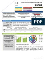 OECD HRM Profile - Brazil PDF