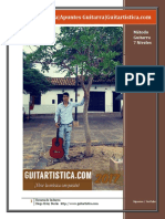 Guitarra Creativa Guitartistica Diego Erley