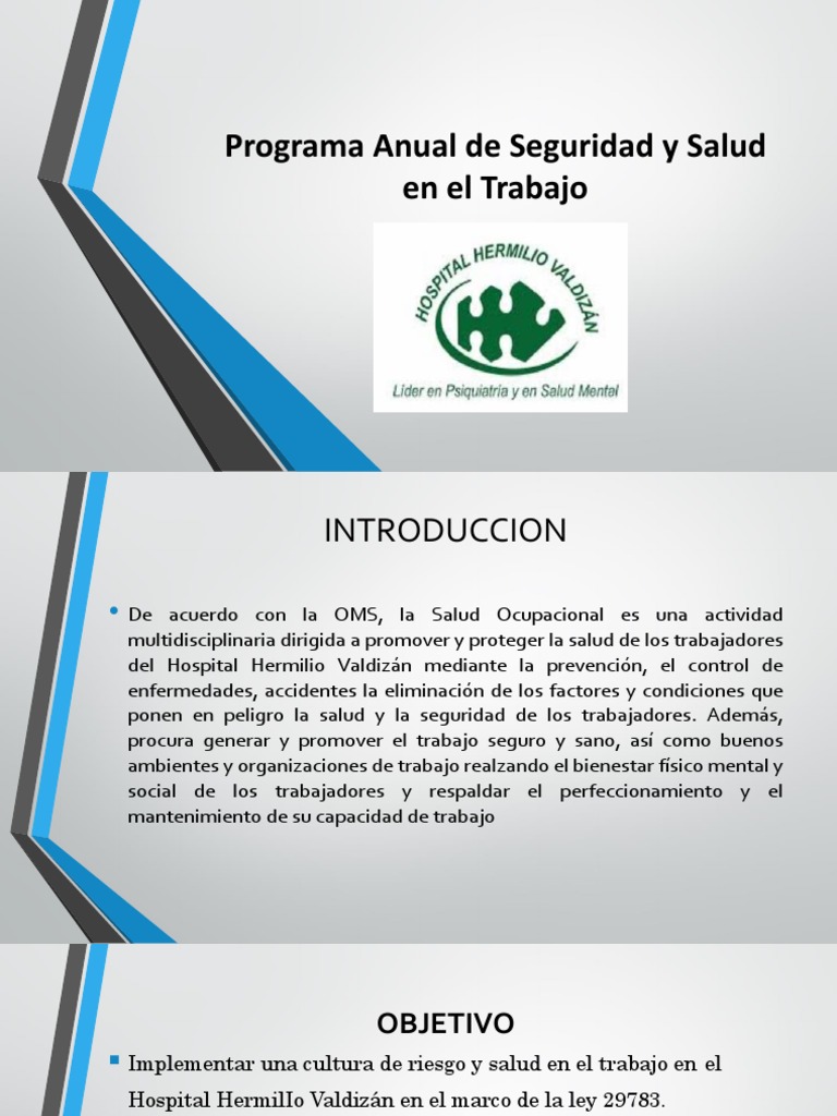 Programa de Seguridad y Salud Laboral | PDF | Hospital | Salud mental