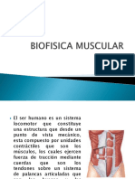 Biofisica Muscular