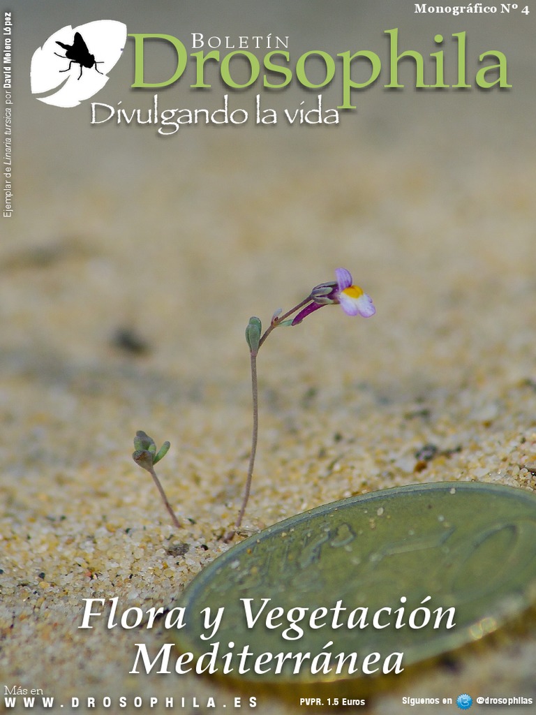 Flora Mediterraneo PDF | PDF | Los bosques | Arboles