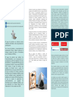 Cobrar_Premio.pdf
