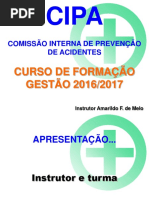 Curso Resumido Da Cipa