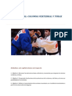 CAPITULO 2 ANATOMIA_CND_2016.pdf