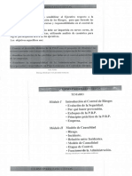 Adm Riesgos PDF