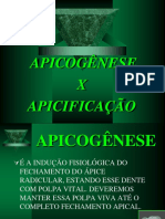 APICOGÊNESE