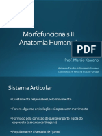 7 - Sistema Articular.pdf