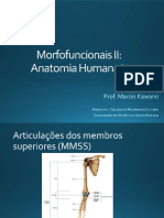 Articulação Membros Superiores PDF