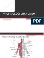 Patofisiologi Luka Umum