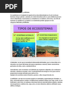 Ecosistemas Naturales y Artificiales