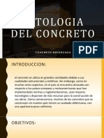 Patologia Del Concreto Exposicion