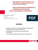 servicio civil.pdf