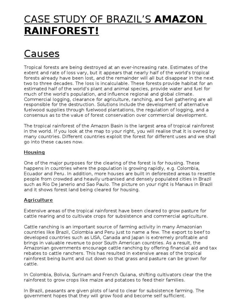 Amazon rainforest deforestation image