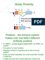 Antibody Diversity