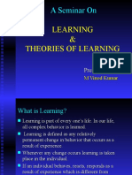 Learning Theories Seminar Summary