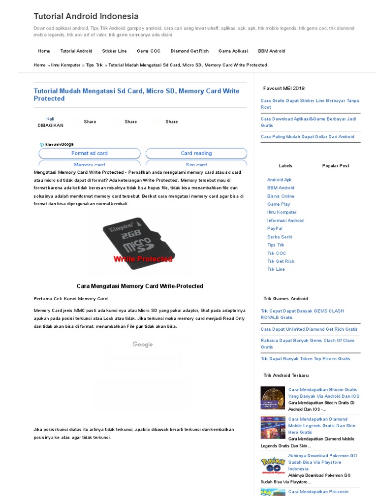 Winding Insulation And Maintenance