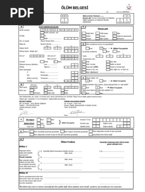 aleyna ozel olum belgesi pdf