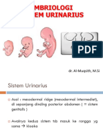 embriologi traktus urinarius