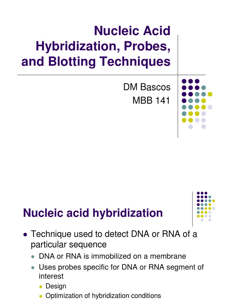 4 Nucleic Acid Hybridization Blot (Biology) Nucleic Acids