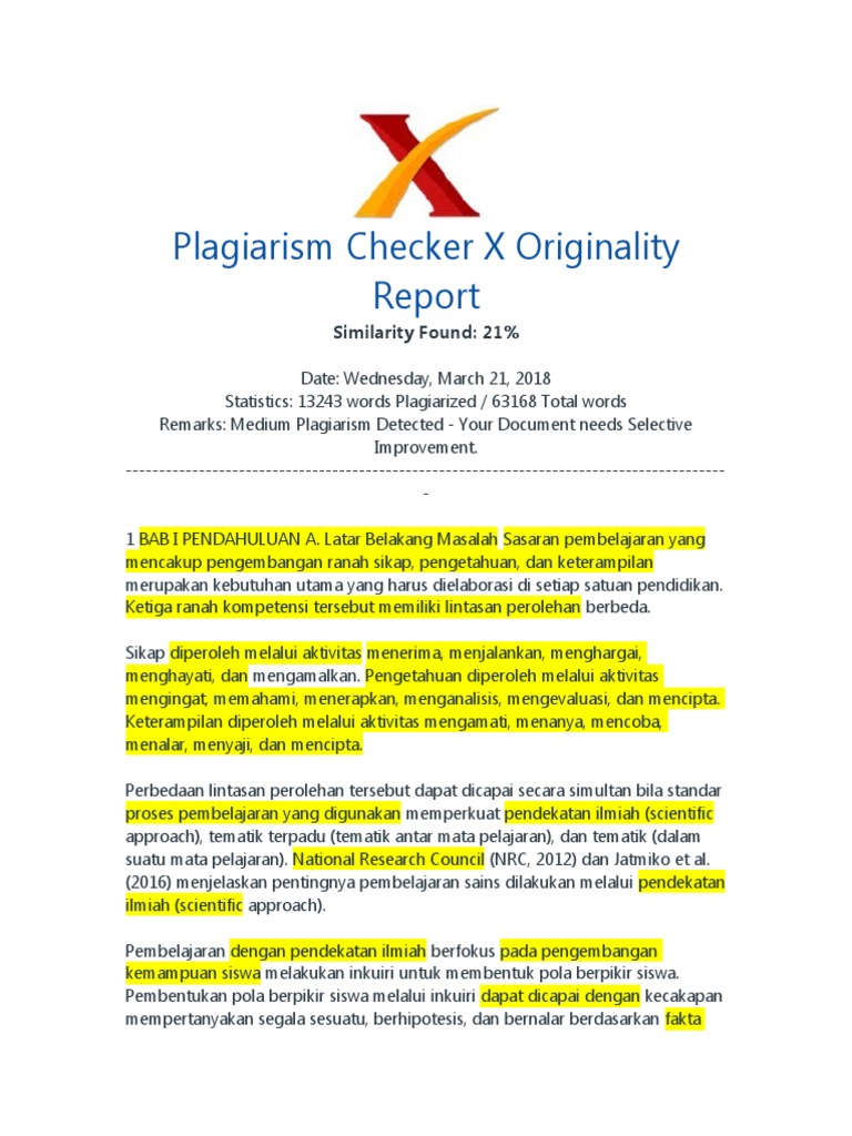 Plagiarism Report