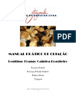 Manual_Criação_Paraiso_Pedres.pdf