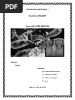 MUTAÇÃO GENETICA_RODINHA