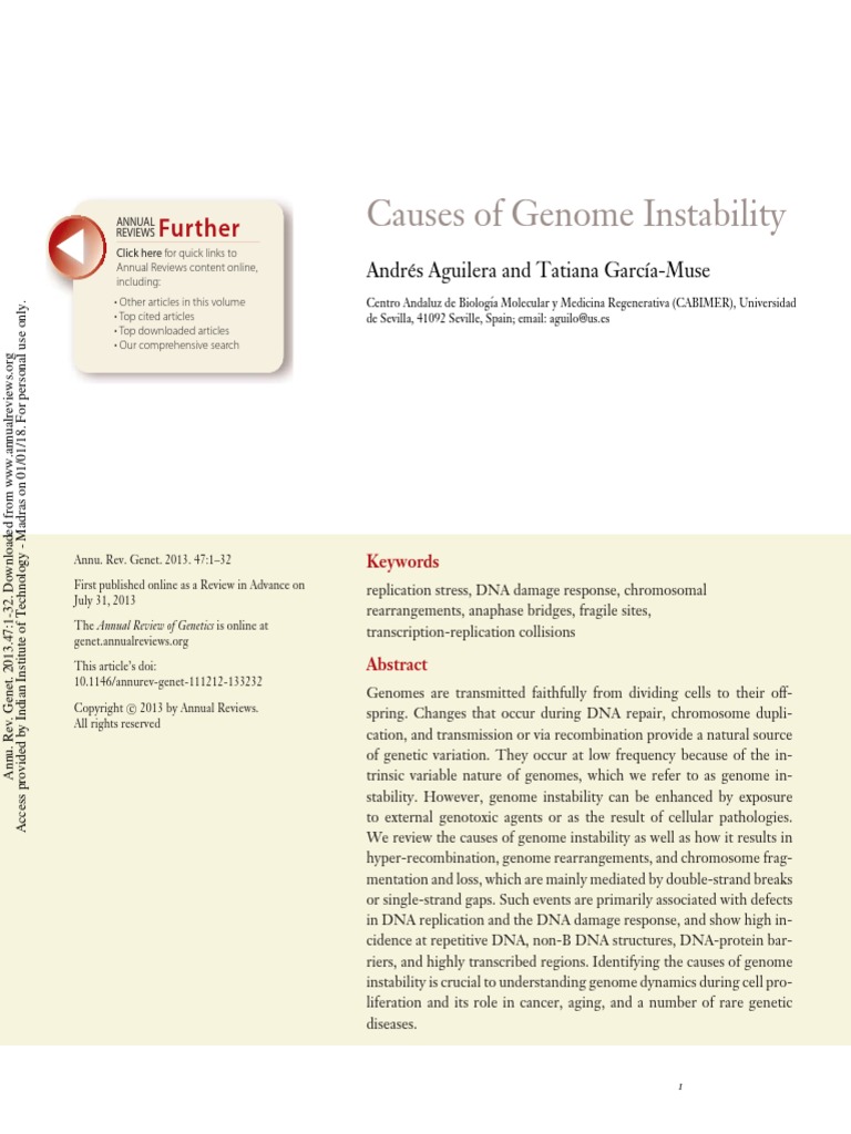 Causes of Genome Instbility | PDF | Dna Repair | Dna Replication