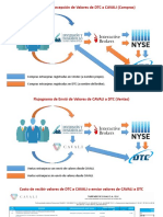 Liquidación DTC/CAVALI y CAVALI/DTC