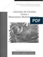DERECHO DE FAMILIA TOMO I RELACIONES MATRIMONIALES.pdf