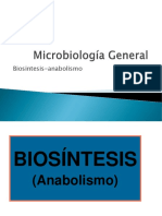 Biosintesis y Anabolismo