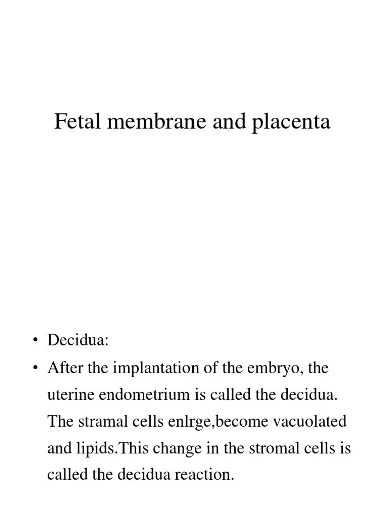 Fetal Membrane and Placenta | PDF | Placenta | Animal Anatomy
