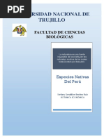 Especies Nativas Del Perú