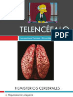 T10 - Telencéfalo PDF