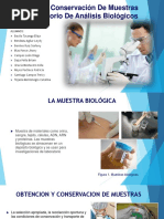 PRECAUCION Y CONSERVACIÓN DE MUESTRAS EN EL LABORATORIO DE ANÁLISIS BIOLÓGICOS, MUESTRA DE ORINA Y FUNCION RENAL