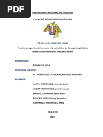 Acción antagónica del extracto hidroetanólico de Eucalyptus globulus sobre el crecimiento de Alternaria solani 