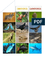 4 herbivoros omnivoros y carnivoros.docx