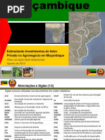 Mozambique Plano de Apoio MultiStakeholder Ago 2012