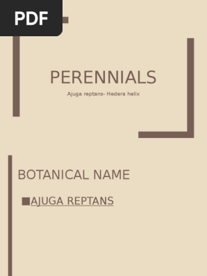 perennials 10