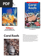 Reef