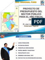 puno_gobierno.pdf